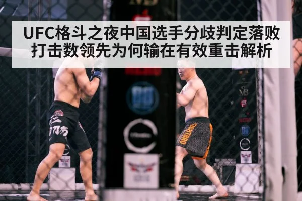MMA octagon fight